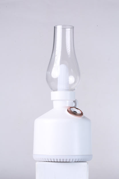 Lamp Humidifier Chargeable 300Ml